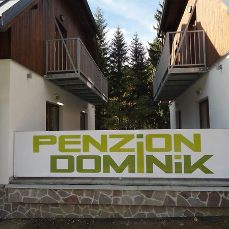 Penzion Dominik Železná Ruda Buitenkant foto